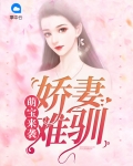 萌宝来袭：娇妻难驯