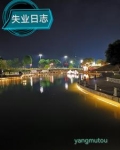 失业的日子