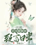 红楼：荣国府姨娘致富日常