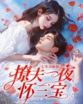 七零小娇娇,撩夫一夜怀三宝